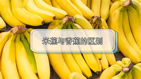松香水和香蕉水有區(qū)別嗎(松香水的作用與用途)縮略圖