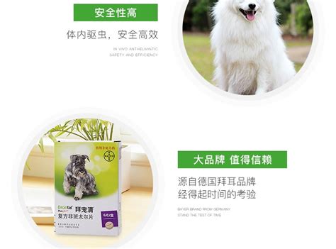 拜寵清體內(nèi)驅(qū)蟲藥(拜寵清體內(nèi)驅(qū)蟲藥怎么樣)縮略圖