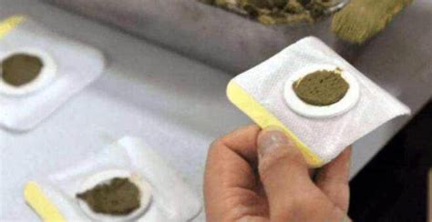 三伏貼真的有用嗎(小孩貼三伏貼真的有用嗎)縮略圖