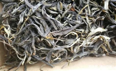 古樹茶的特點,古樹茶的特點是什么縮略圖