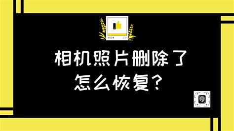 相機(jī)照片刪除怎么恢復(fù)找回(相機(jī)照片刪除了怎么找回來)縮略圖