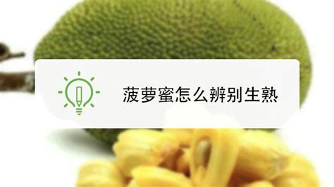 木菠蘿的粘液怎么洗,木菠蘿的粘液怎么洗掉縮略圖