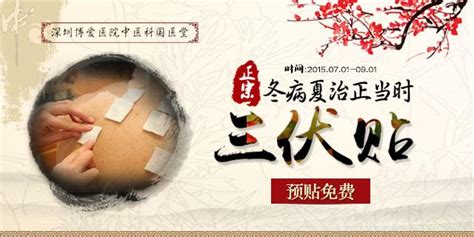 三伏貼有什么功效怎么貼(三伏貼有什么功效怎么貼圖片)縮略圖