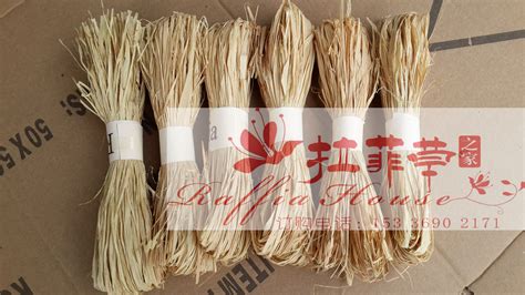 拉菲草產(chǎn)自哪里(拉菲草的產(chǎn)地)縮略圖