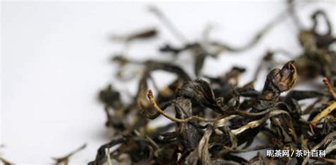 古樹茶與老樹茶的區別,古樹茶和老樹茶的區別縮略圖