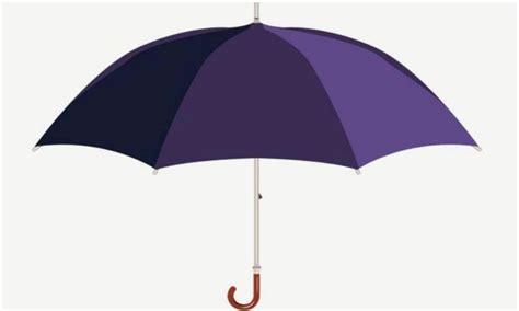 雨傘托運(yùn)還是隨身攜帶(充電寶托運(yùn)還是隨身帶)縮略圖