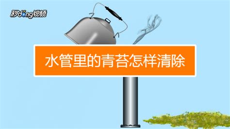 水桶綠苔可以用什么去除(水桶里的綠苔怎么去除)縮略圖
