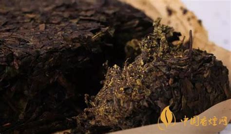 安化黑茶的功效與作用及禁忌癥(安化黑茶的功效與作用及禁忌癥和副作用)縮略圖