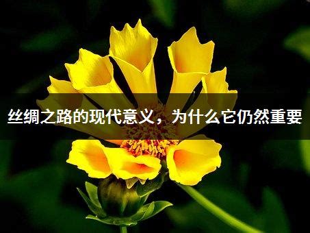 絲綢之路是古代橫貫什么大陸的(絲綢之路是古代橫貫什么的通道)縮略圖