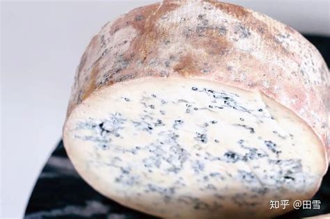 藍(lán)紋奶酪價(jià)格(法國(guó)藍(lán)紋奶酪價(jià)格)縮略圖