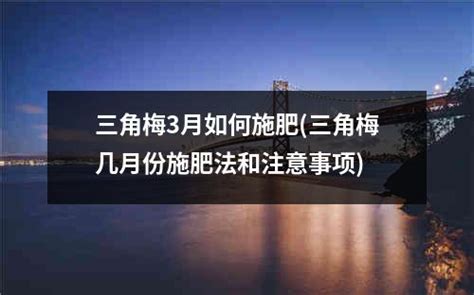 獼猴桃樹幾月份移栽最好,獼猴桃樹幾月份可以移栽縮略圖