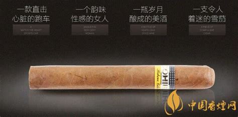 高希霸世紀4號(高希霸世紀4號價格)縮略圖