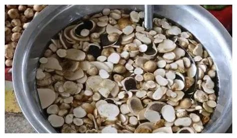掃把菌(掃把菌怎么做好吃)縮略圖