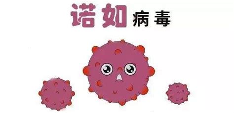 傳單病毒有什么癥狀(傳單病毒有什么癥狀嚴重嗎)縮略圖