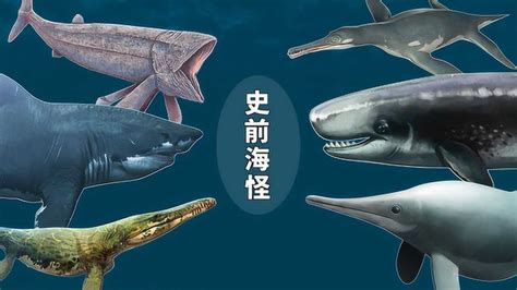 大洋生物(大洋生物2023年中報預測)縮略圖