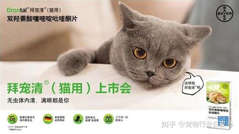 拜寵清貓用,拜寵清貓用量縮略圖