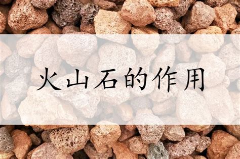 火山石有什么用(火山石有什么用處)縮略圖