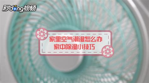 褥子潮濕怎么解決,床板不透氣褥子潮濕怎么解決縮略圖