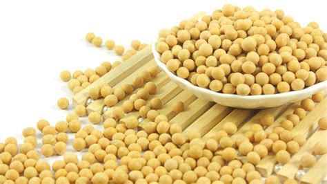 豆制品含嘌呤高嗎(豆制品含脂肪嗎)縮略圖