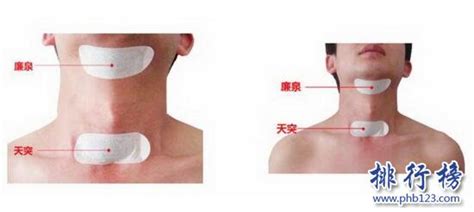三伏貼的準確位置圖,三伏貼的準確位置圖解縮略圖