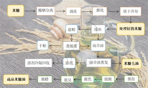 稻米油的功效與作用及食用方法(稻米油的功效與作用及食用方法視頻)縮略圖