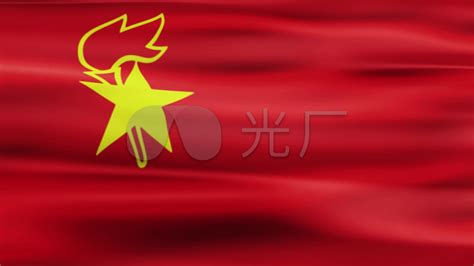 隊旗logo設計簡約,隊旗logo設計簡約圖片大全縮略圖