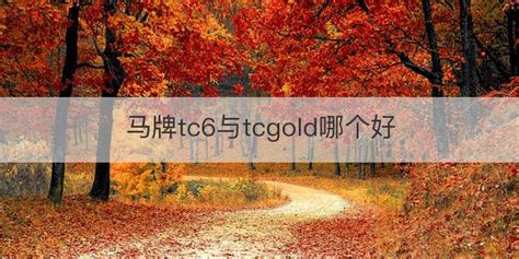 馬牌tc6,馬牌tc6輪胎評測縮略圖