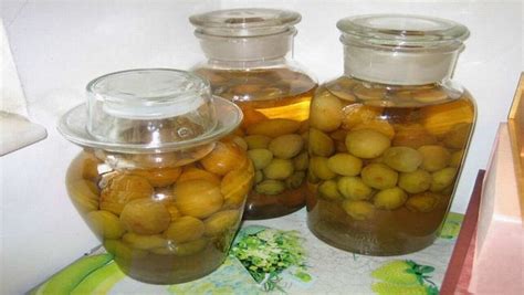 梅子酒的功效與作用及禁忌癥,梅子酒的功效與作用及禁忌癥圖片縮略圖