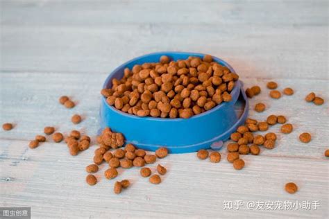 頑皮狗糧是毒糧嗎(頑皮狗糧是毒狗糧嗎)縮略圖