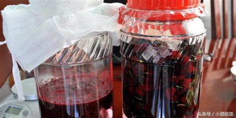 桑椹酒能放多久(桑葚酒能放多久)縮略圖