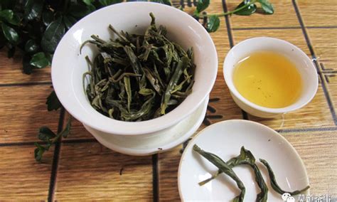 鳳凰單叢茶是屬什么茶有什么功效,鳳凰單叢茶是屬什么茶縮略圖