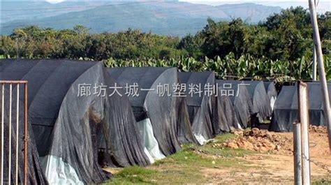 防塵網廠家聯系電話,防塵網廠家聯系電話號碼縮略圖