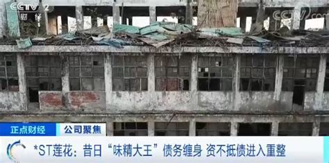 蓮花味精生產廠家地址在哪里,蓮花味精生產廠家地址在哪里啊縮略圖