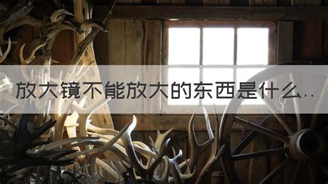 放大鏡不能放大的東西是什么(放大鏡不能放大東西腦筋急轉彎)縮略圖