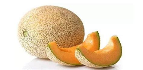 哈密瓜熱量高嗎?減肥可以吃嗎(哈密瓜熱量高嗎減肥可以吃嗎)縮略圖