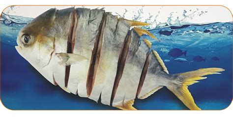 金昌魚是江魚還是海魚(金昌魚是海魚還是淡水魚)縮略圖