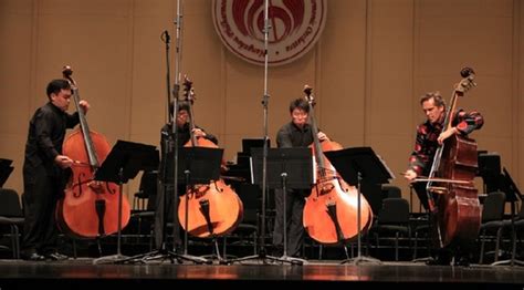 低音提琴演奏(低音提琴演奏視頻)縮略圖