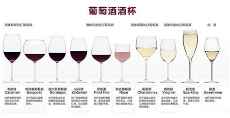 酒杯種類(酒杯種類照片)縮略圖