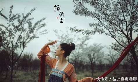 袍子的讀音,袍子的讀音和解釋縮略圖