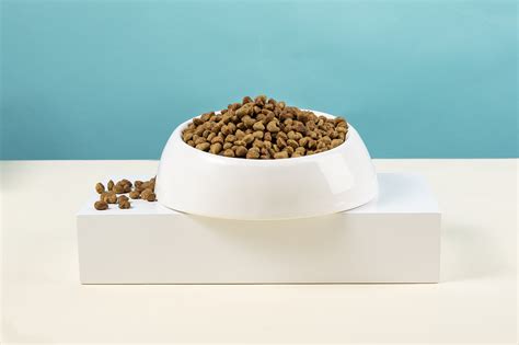 狗糧推薦,狗糧推薦排行榜縮略圖