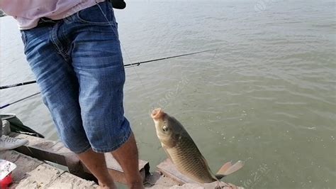 魚漂吃鉛量怎么選,魚漂吃鉛量怎么選擇縮略圖