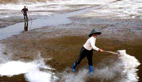 石灰水用什么清洗才干凈(車上石灰水痕跡怎么清洗干凈)縮略圖