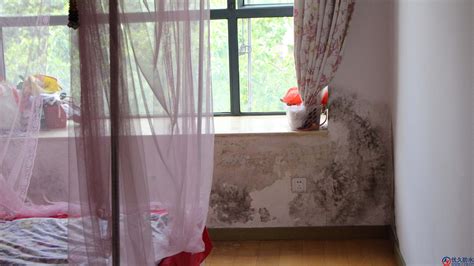 窗臺(tái)下雨漏水怎么辦(窗臺(tái)下雨漏水怎么辦妙招)縮略圖