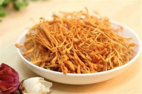 蟲草花煮多久能吃(新鮮蟲草花煮多久能吃)縮略圖