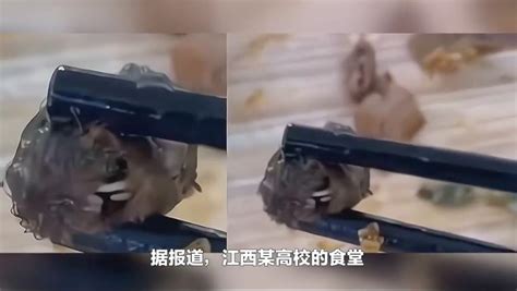 鴨脖老鼠事件,鴨脖老鼠事件哪個學校縮略圖