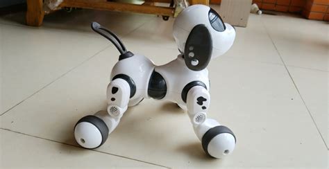 機器狗多少錢(機器狗多少錢一只)縮略圖