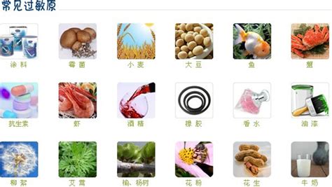 熱帶水果容易過敏的有哪些(哪種熱帶水果更容易引起孩子過敏)縮略圖