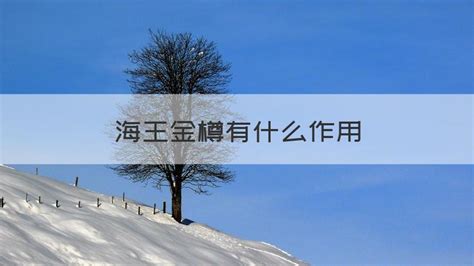 海王金樽有副作用嗎(解酒藥排名第一)縮略圖