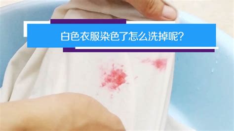 白襯衫染上顏色該怎么除去(白襯衫染上別的顏色怎么去掉)縮略圖