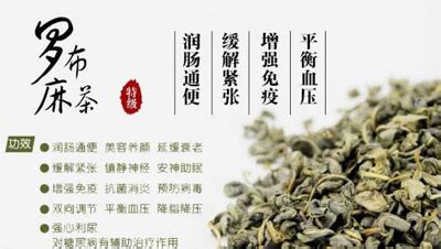 羅布麻茶的功效與作用和副作用,羅布麻茶的功效與作用和副作用禁忌縮略圖